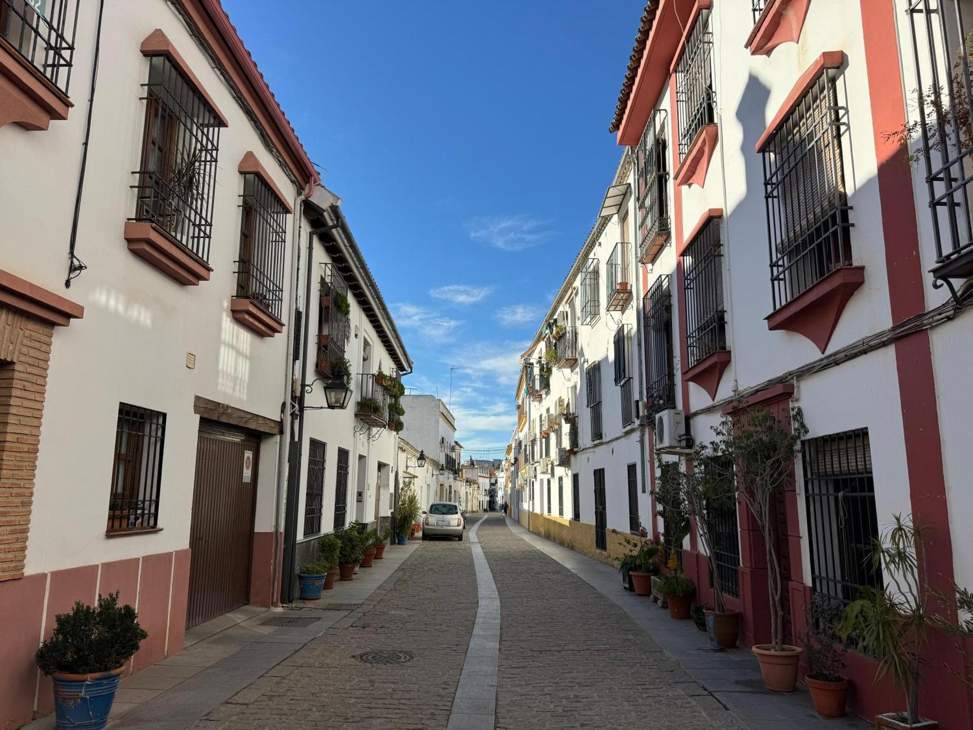 Apartamento San Basilio Bookish Place